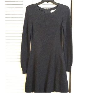 Knit Fit and Flare Sweater Dress